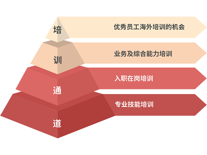 开云(中国电子)·KAIYUN官方网站