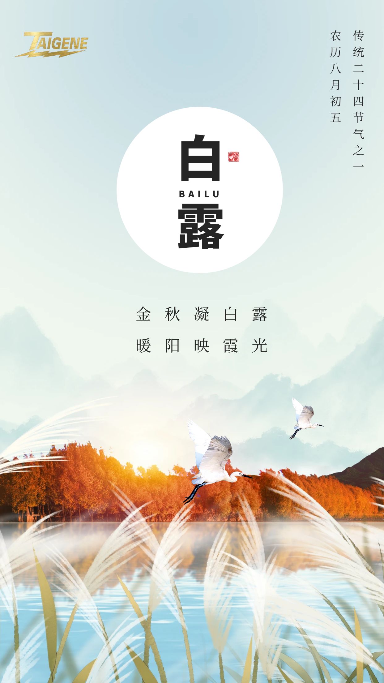 ����(�й�����)��KAIYUN�ٷ���վ